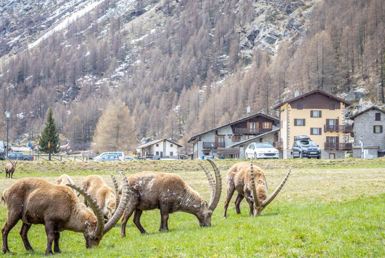 Gran Paradiso Hotel 3*